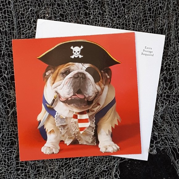 A Birds Eye View Of My Closet 🕊️ - Picture 13 of 14